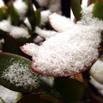 吹雪のおみやげ？