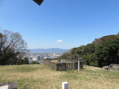 IMG_8181