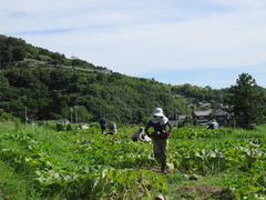 IMG_9624