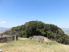 IMG_8180