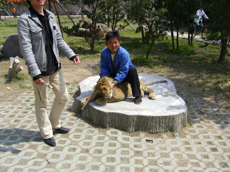 パキスタンで木に鎖につながれた男、1898年から服役中