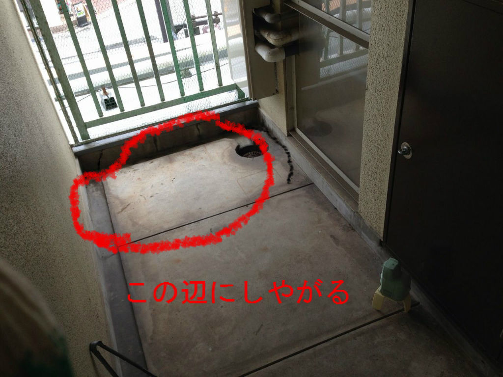 野良猫対策で使ってみたもの : 不動産な生活 ~everyday I think about