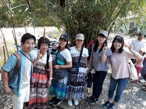 メコン PIC