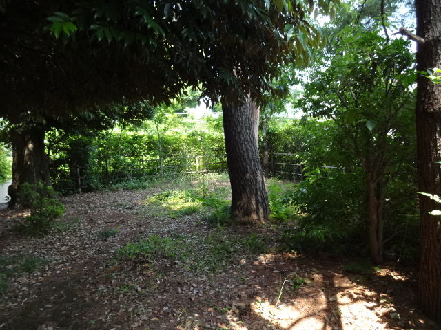 公開空地 Blog更新しました 渋谷桜丘 代官山のマンション探しのお手伝い 青柳智子