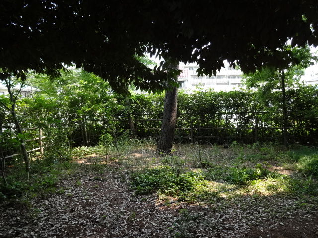 公開空地 Blog更新しました 渋谷桜丘 代官山のマンション探しのお手伝い 青柳智子