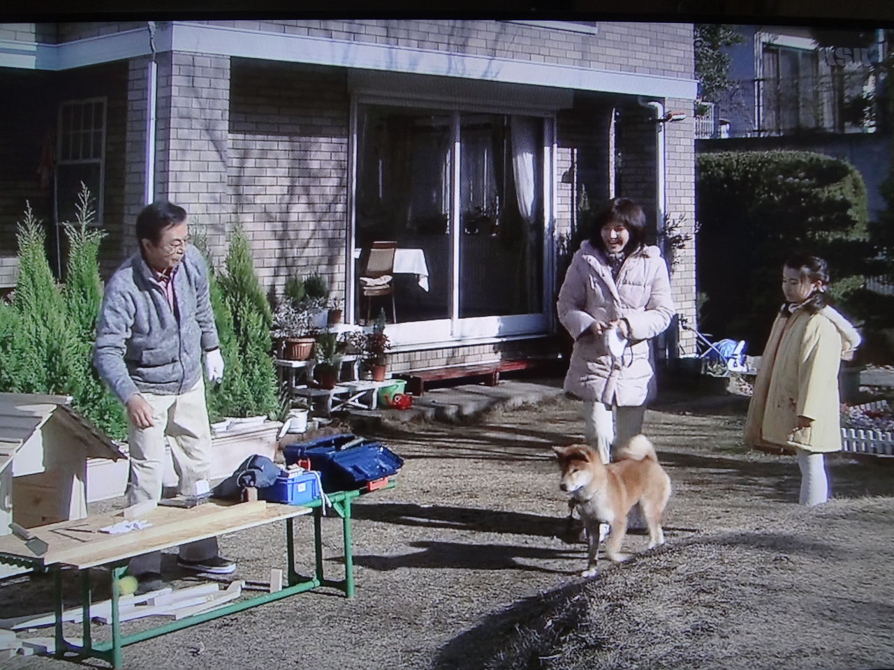 月曜ゴールデン 医師 円城寺修 恨みの報酬 ぱ す た い む