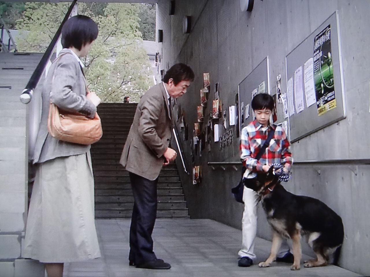 新 おみやさん 犬だけが見た殺人 京都 滋賀 7年目に動き出した新証拠 第8話 ぱ す た い む 新 おみやさん 犬だけが見た殺人 京都 滋賀 7年目に動き出した新証拠 第8話 ぱ す た い む