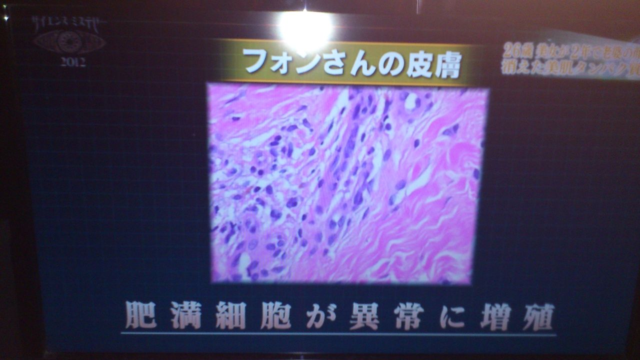サイエンスミステリー見えざる禁断の世界 でエライモノを見てしまった ぱ す た い む サイエンスミステリー見えざる禁断の世界 でエライモノを見てしまった ぱ す た い む