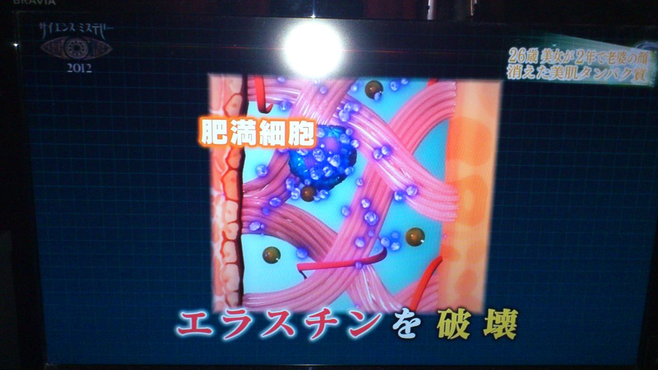 サイエンスミステリー見えざる禁断の世界 でエライモノを見てしまった ぱ す た い む サイエンスミステリー見えざる禁断の世界 でエライモノを見てしまった ぱ す た い む