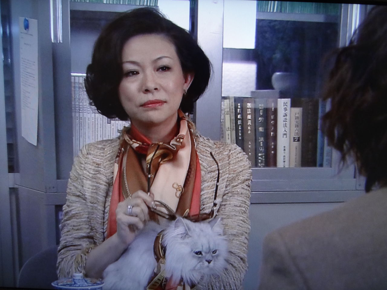 TBS ドラマ　猫弁　DVD セル版　吉岡秀隆　杏　貴重　レア　美品 TBS ドラマ 猫弁 DVD セル版 吉岡秀隆 杏 貴重 レア 美品 - メルカリ