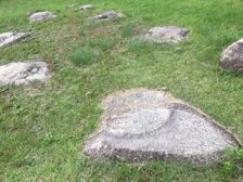 賞田 礎石 草の中