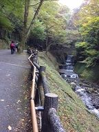 養老の滝