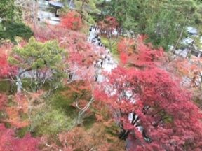 三門より眼下