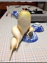 大根 テーブル