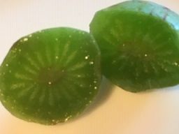 さるなし 輪切り