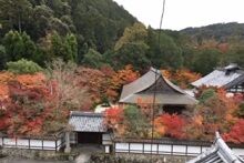 三門より眼下2