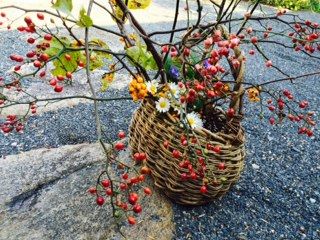 野茨の実　まゆみ　かご盛り