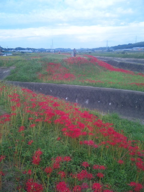 イメージ 2