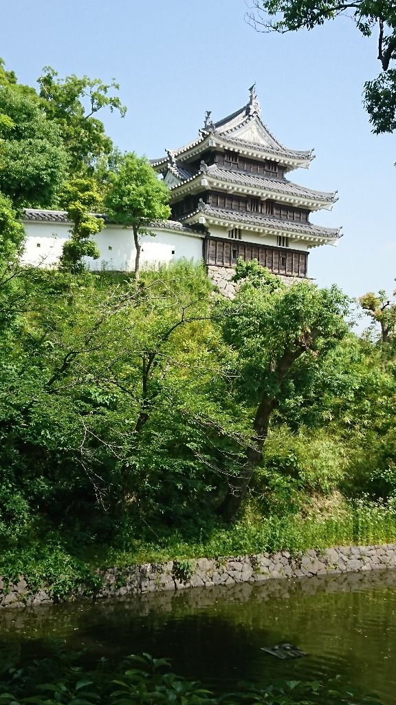 イメージ 2