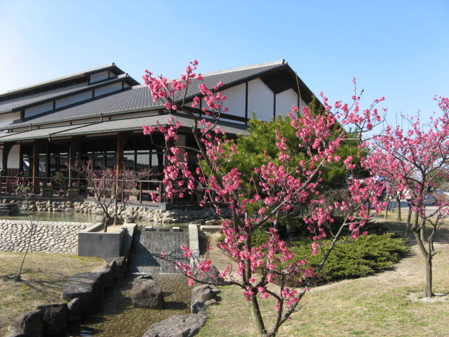 イメージ 7