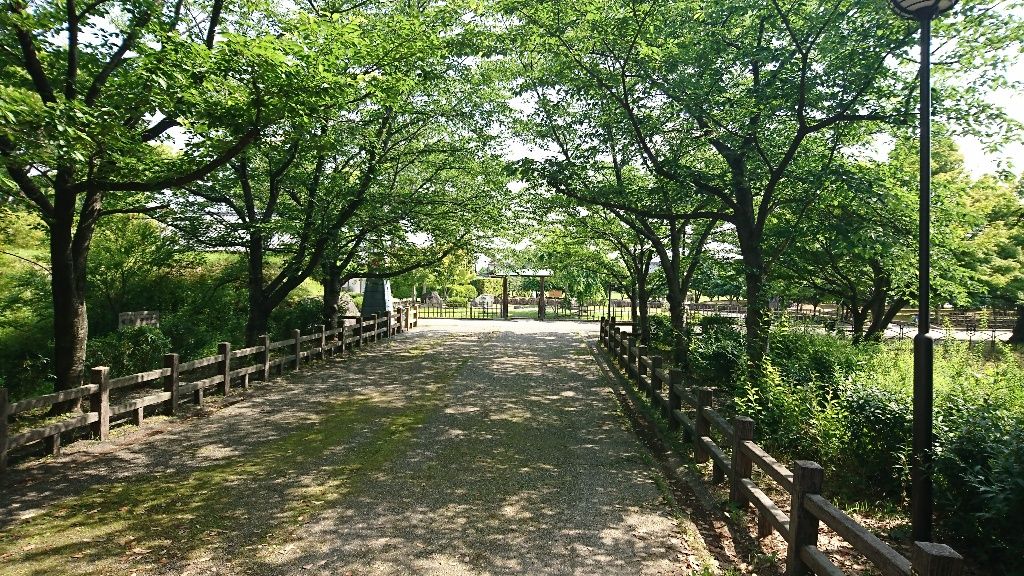 イメージ 3