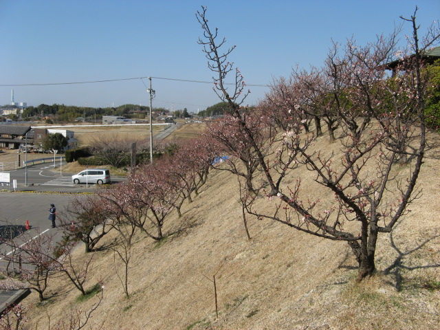 イメージ 9