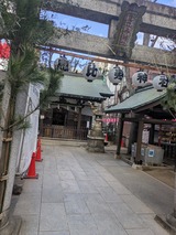 PXL_20241230_000917640