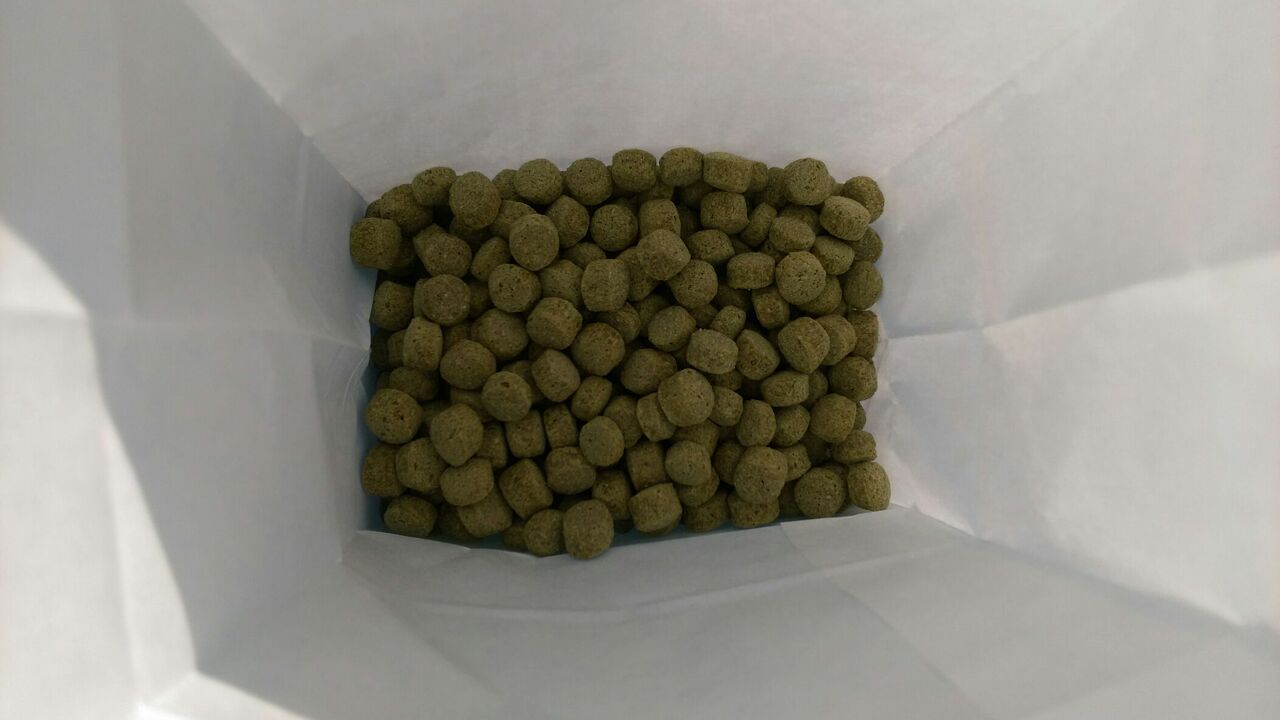 鯉牧場3