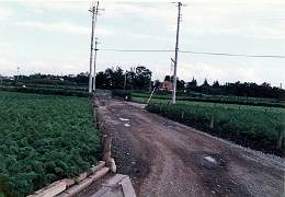 西部秋津団地の昔の道路