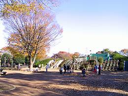 小金井公園 わんぱく広場