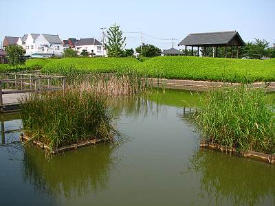 �ٻθ��� �����ľ����