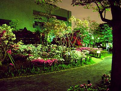 毎日がレビュー 夜の平成つつじ公園 東京都練馬区