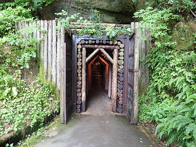 ƶ������1