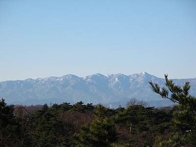 ��Ȩ�ٻΤ��鸫��ð������