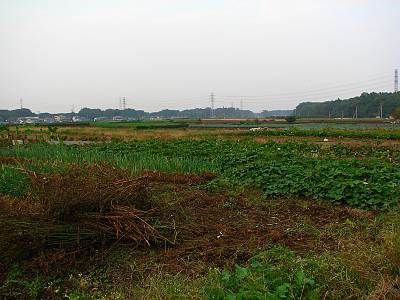 �����϶��Ȫ