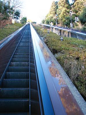 �����ߥץ쥤���Υ������졼��