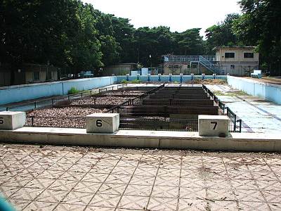 ���� �������Υס���Ǥ���������