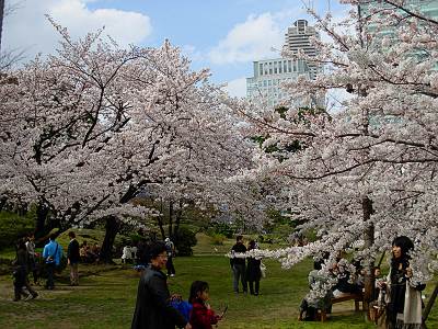 毎日がレビュー 旧芝離宮恩賜庭園