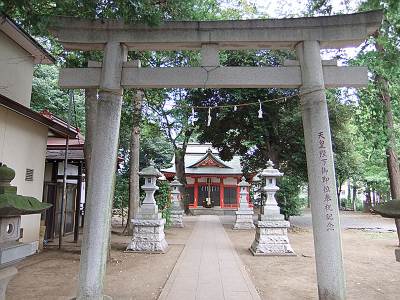 ���ſ���PROVIA