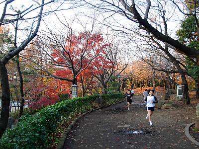 ��Ļ��������ͤ���