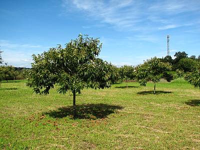 �ޤ��㤤������