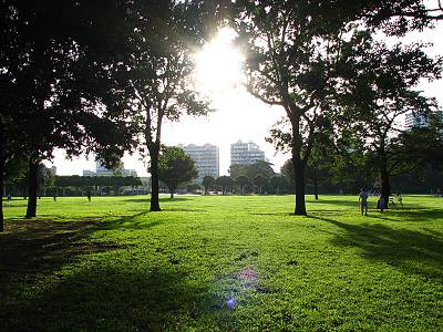 ��¢��ʬ������