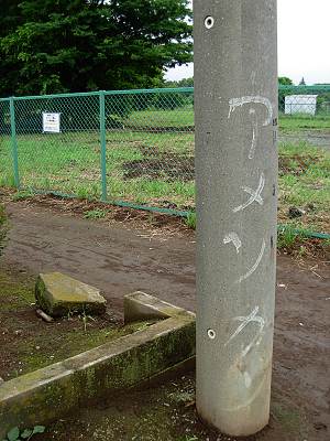 �����ĥ���ꥫ��(���å�)