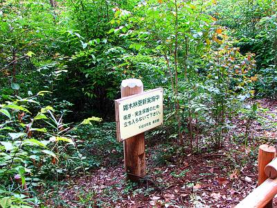 Ȭ�����Ϥˤ�������Ԥδ���