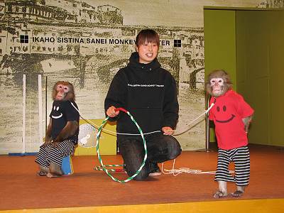 �˹��ݤΥ����ƥ���������Ʋ�α���Υ��������ȥ�󥴤����