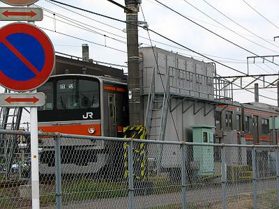 ������żִ��Ϥ����ֵ�