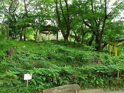 ������������ٻθ���