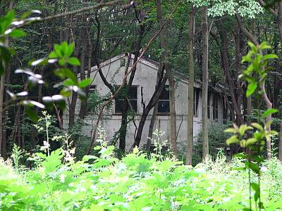 ���ִ��Ϥ���˸������Ѳ�