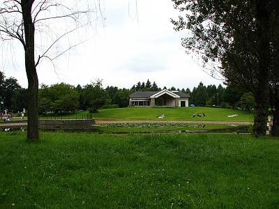 �̤ο����ָ���δ�����