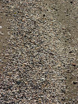 ���ͱ��Ϥκ��ͤˤϳ��̤����äѤ�